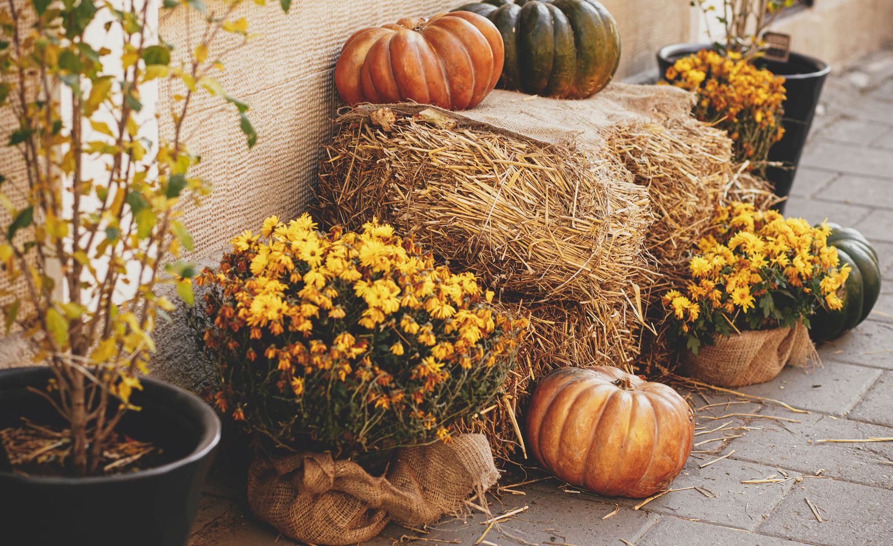 Herbsttage Riviera Herbsttage Riviera