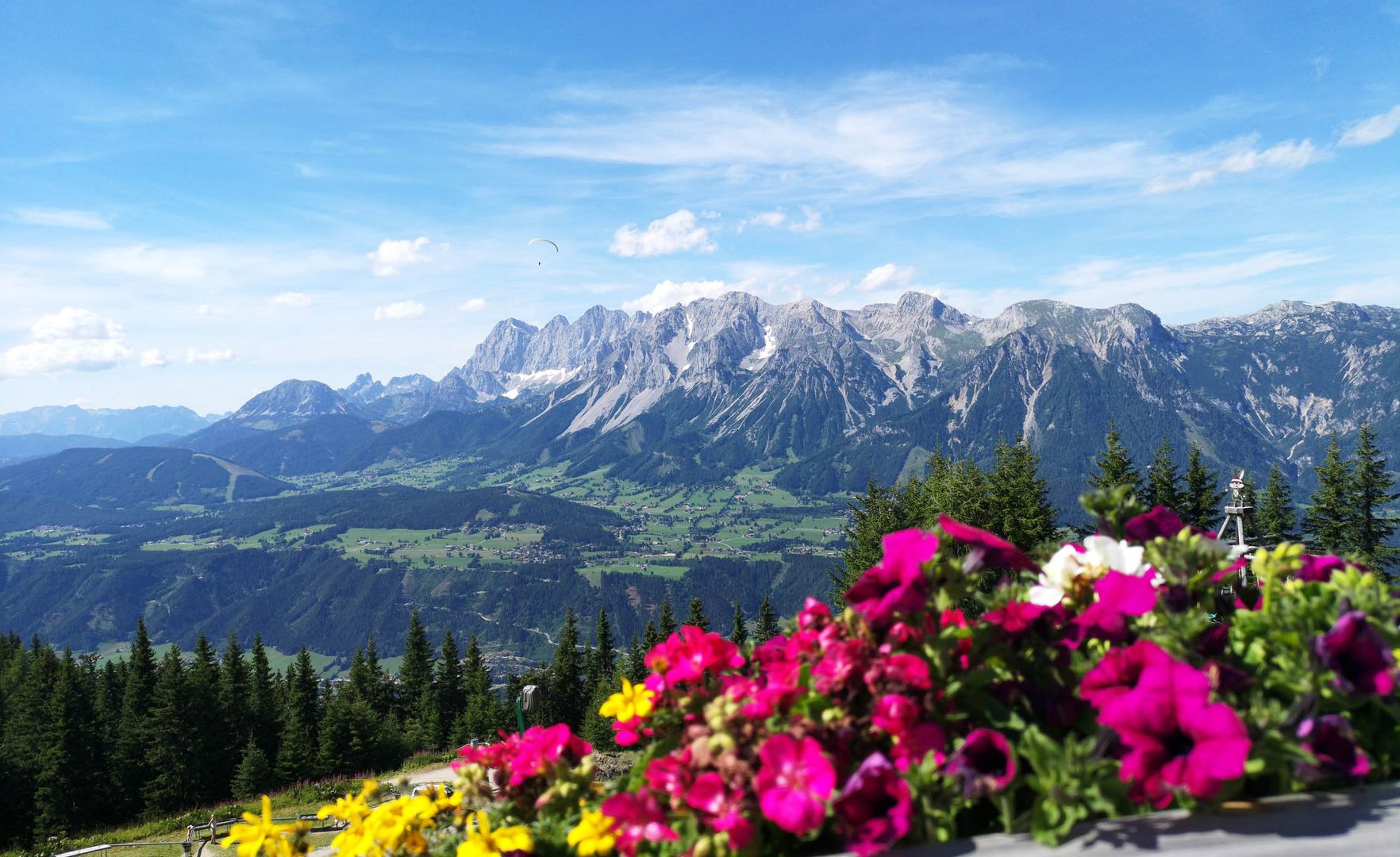 Hornbahn 