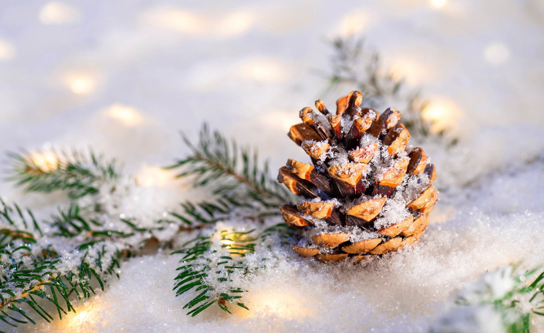 Advent Advent