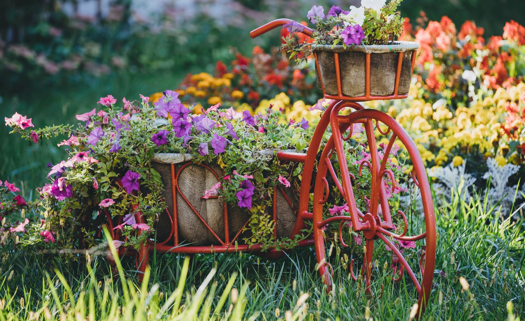 Gartenreise Gartenreise